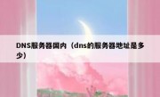 DNS服务器国内（dns的服务器地址是多少）