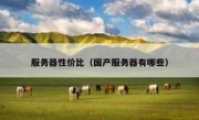 服务器性价比（国产服务器有哪些）
