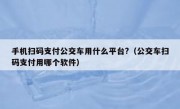 手机扫码支付公交车用什么平台?（公交车扫码支付用哪个软件）