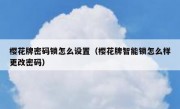 樱花牌密码锁怎么设置（樱花牌智能锁怎么样更改密码）