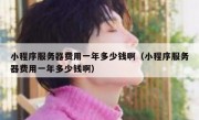 小程序服务器费用一年多少钱啊（小程序服务器费用一年多少钱啊）