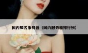 国内知名服务器（国内服务器排行榜）