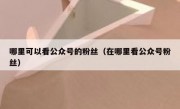 哪里可以看公众号的粉丝（在哪里看公众号粉丝）