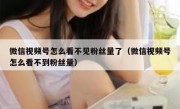 微信视频号怎么看不见粉丝量了（微信视频号怎么看不到粉丝量）