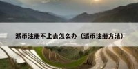派币注册不上去怎么办（派币注册方法）