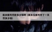 新乡限号罚款多少钱啊（新乡车限号开了一天罚多少钱）