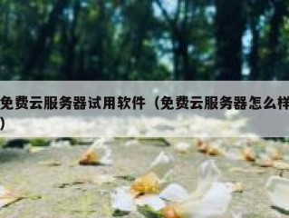 免费云服务器试用软件（免费云服务器怎么样）