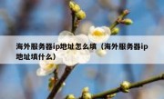 海外服务器ip地址怎么填（海外服务器ip地址填什么）
