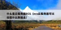 什么是云服务器ECS（ecs云服务器可以挂载什么数据盘）