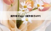 国外梯子app（国外梯子APP）