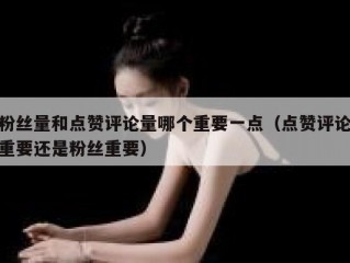 粉丝量和点赞评论量哪个重要一点（点赞评论重要还是粉丝重要）