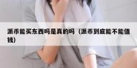 派币能买东西吗是真的吗（派币到底能不能值钱）