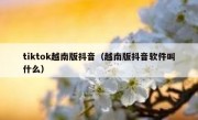 tiktok越南版抖音（越南版抖音软件叫什么）