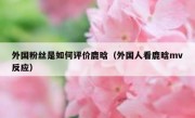 外国粉丝是如何评价鹿晗（外国人看鹿晗mv反应）
