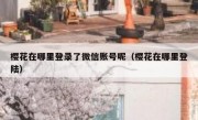 樱花在哪里登录了微信账号呢（樱花在哪里登陆）