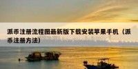 派币注册流程图最新版下载安装苹果手机（派币注册方法）