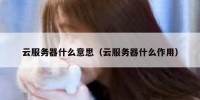云服务器什么意思（云服务器什么作用）