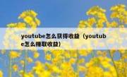youtube怎么获得收益（youtube怎么赚取收益）