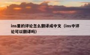 ins里的评论怎么翻译成中文（ins中评论可以翻译吗）