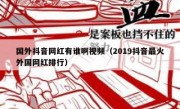 国外抖音网红有谁啊视频（2019抖音最火外国网红排行）