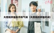 大樱桃种植条件和气候（大樱桃的种植时间）
