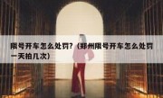 限号开车怎么处罚?（郑州限号开车怎么处罚一天拍几次）