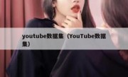 youtube数据集（YouTube数据集）