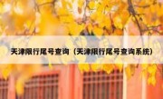 天津限行尾号查询（天津限行尾号查询系统）