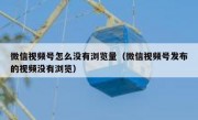 微信视频号怎么没有浏览量（微信视频号发布的视频没有浏览）