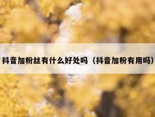 抖音加粉丝有什么好处吗（抖音加粉有用吗）