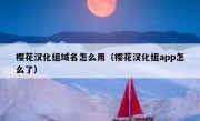 樱花汉化组域名怎么用（樱花汉化组app怎么了）