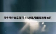 尾号限行北京处罚（北京尾号限行违规处罚）