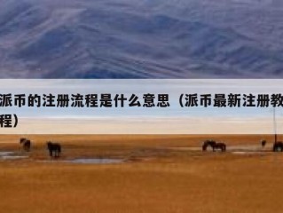 派币的注册流程是什么意思（派币最新注册教程）