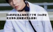 ins的评论怎么复制不了了呀（ins评论无法发布,轻触重试怎么回事）