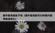 国外服务器能干啥（国外服务器可以和国内服务器通用么）