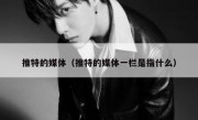 推特的媒体（推特的媒体一栏是指什么）