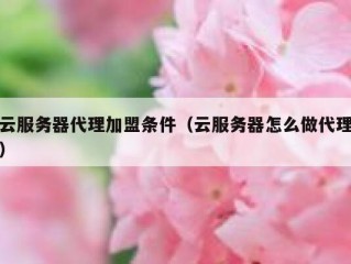 云服务器代理加盟条件（云服务器怎么做代理）