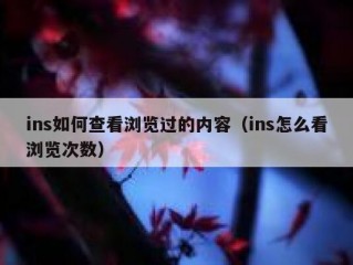 ins如何查看浏览过的内容（ins怎么看浏览次数）