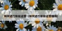 如何进行粉丝运营（如何进行粉丝运营赚钱）