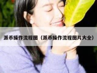派币操作流程图（派币操作流程图片大全）