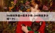 ins粉丝数量m是多少钱（ins粉丝多少钱一个）