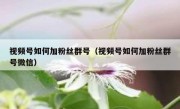 视频号如何加粉丝群号（视频号如何加粉丝群号微信）