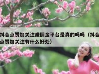 抖音点赞加关注赚佣金平台是真的吗吗（抖音点赞加关注有什么好处）
