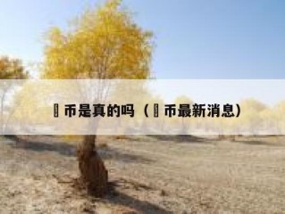 泒币是真的吗（泒币最新消息）