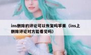 ins删除的评论可以恢复吗苹果（ins上删除评论对方能看见吗）