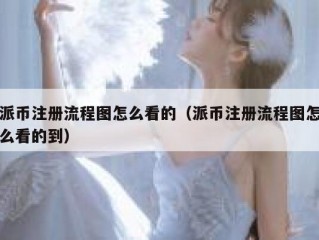 派币注册流程图怎么看的（派币注册流程图怎么看的到）