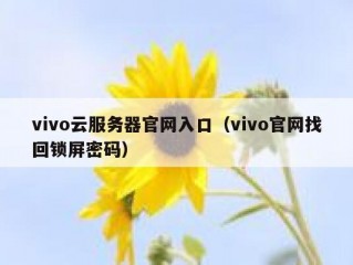 vivo云服务器官网入口（vivo官网找回锁屏密码）