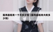 服务器租用一个月多少钱（服务器租用大概多少钱）