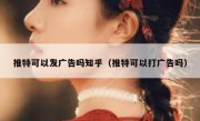 推特可以发广告吗知乎（推特可以打广告吗）
