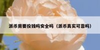 派币需要投钱吗安全吗（派币真实可靠吗）
